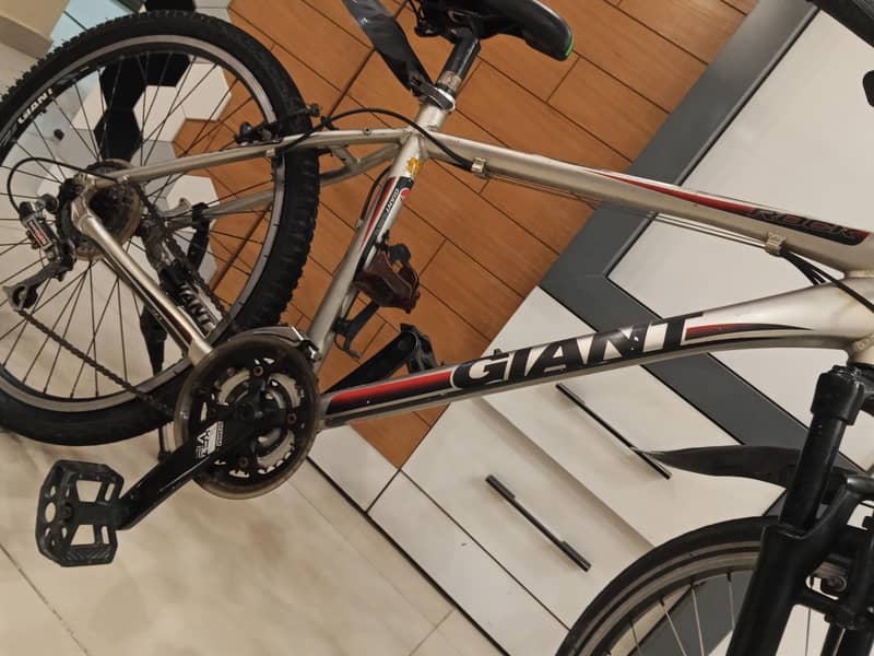 giant cycle 6