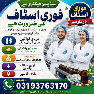 Medicine Packing job | Urgent Hiring | Male Female | Jobs in Lahore