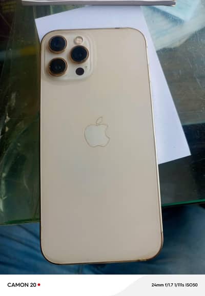 Apple iPhone 12 Pro Max