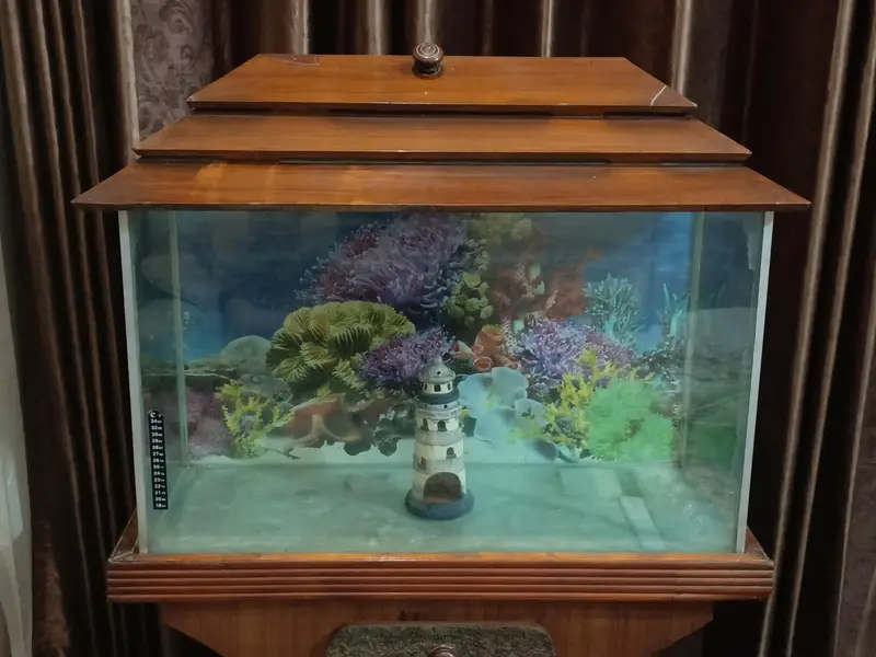 Aquarium with Wooden Stand Cabinet for Sale — photo 2
