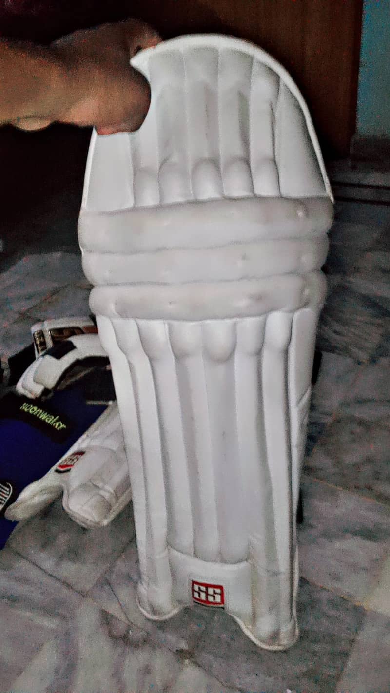 Cricket kit 5