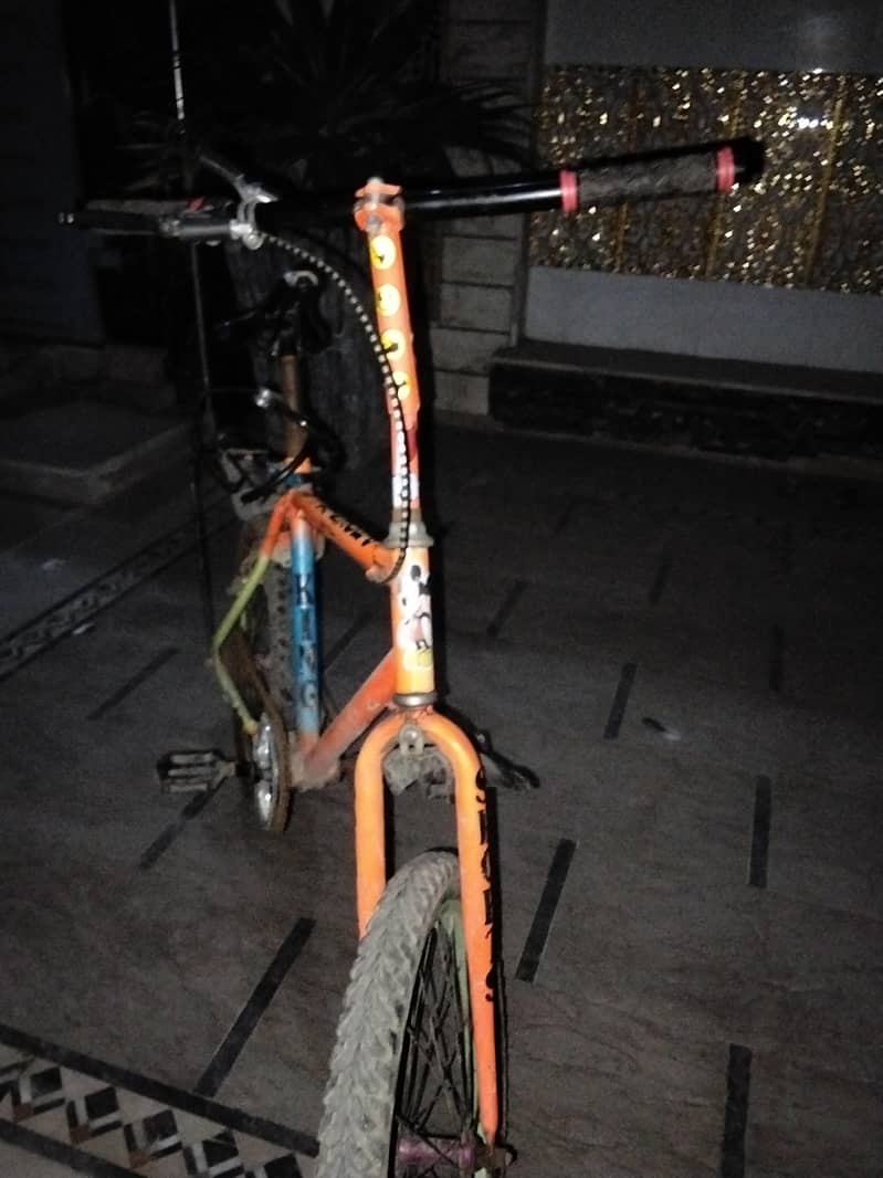 vilal cycle 1