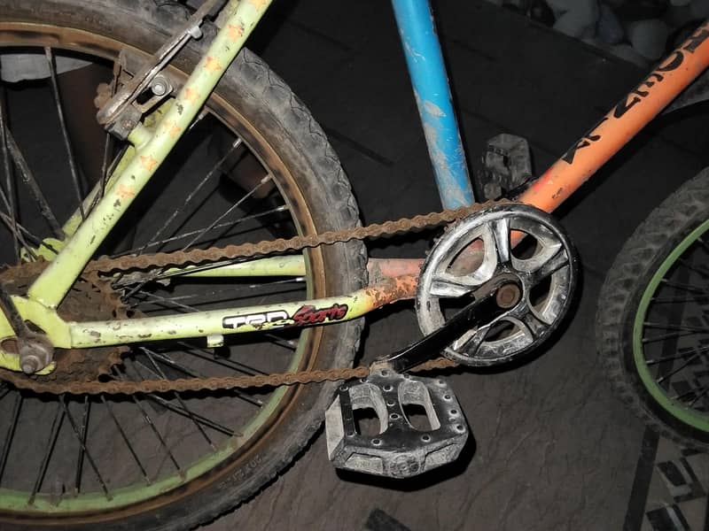 vilal cycle 3