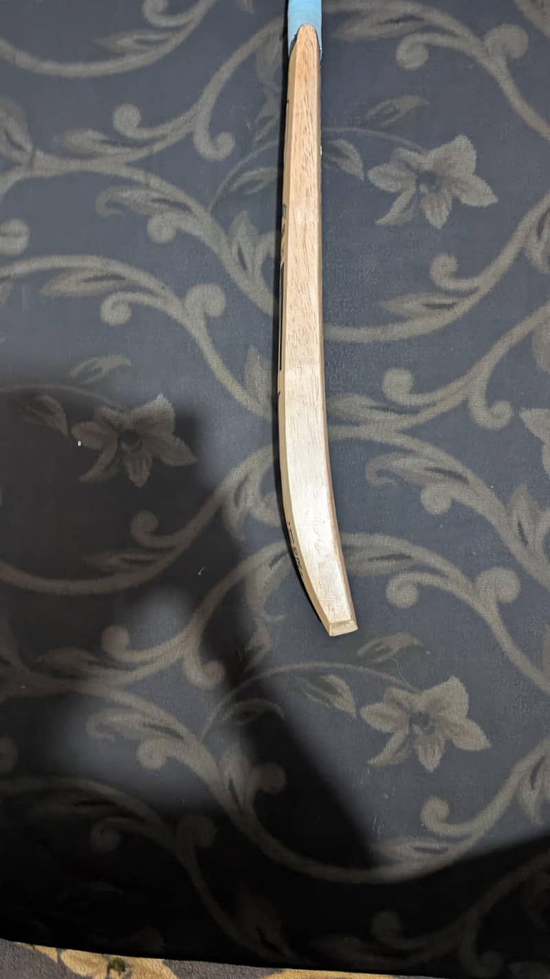 coconut bat 4