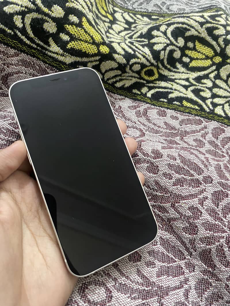 Apple iPhone 12 mini 1