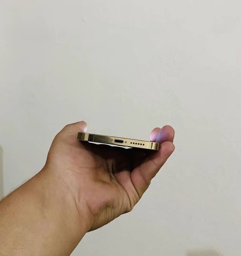 Apple iPhone 12 Pro Max 1