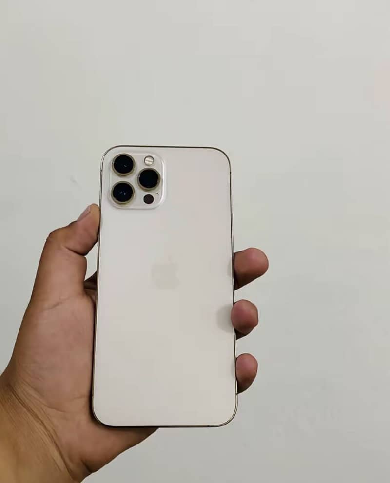 Apple iPhone 12 Pro Max 2