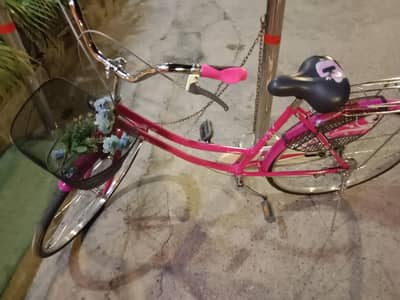 Classic girly bicycle