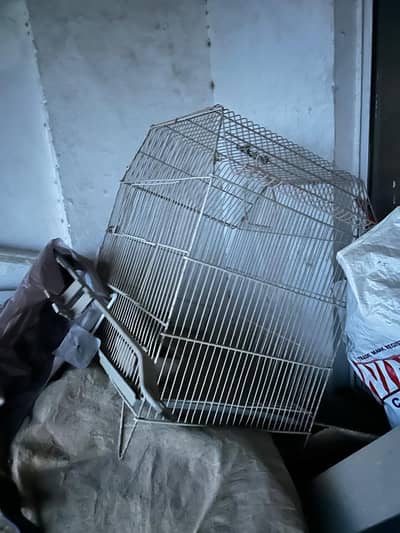 Birds Cage