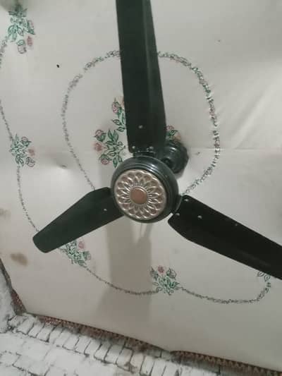 Ac DC fan for sale