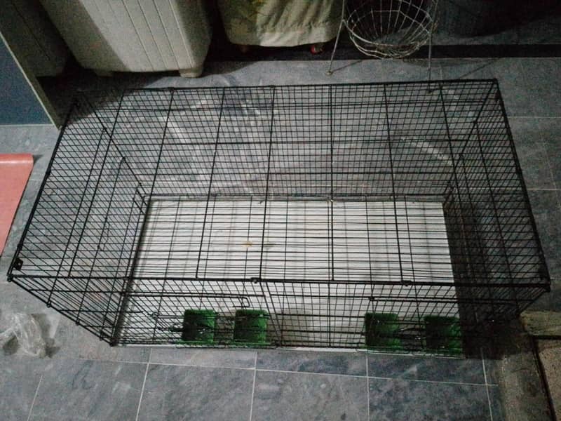 cages 1