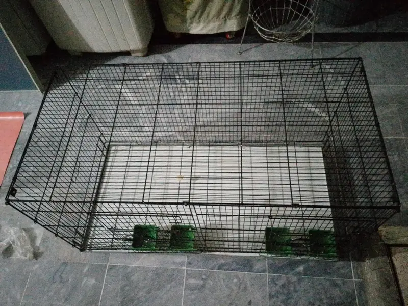 cages — photo 2