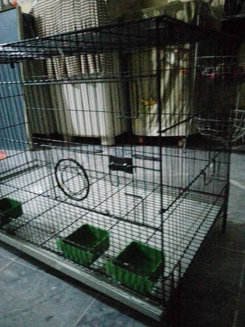 cages 2