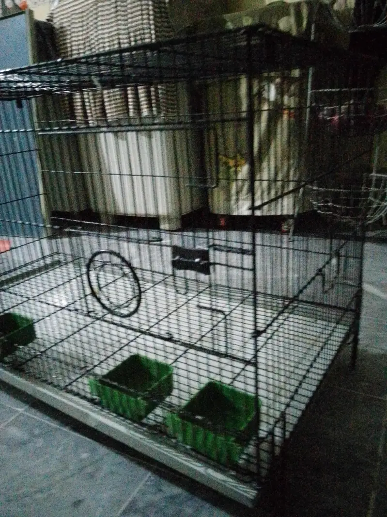 cages — photo 3