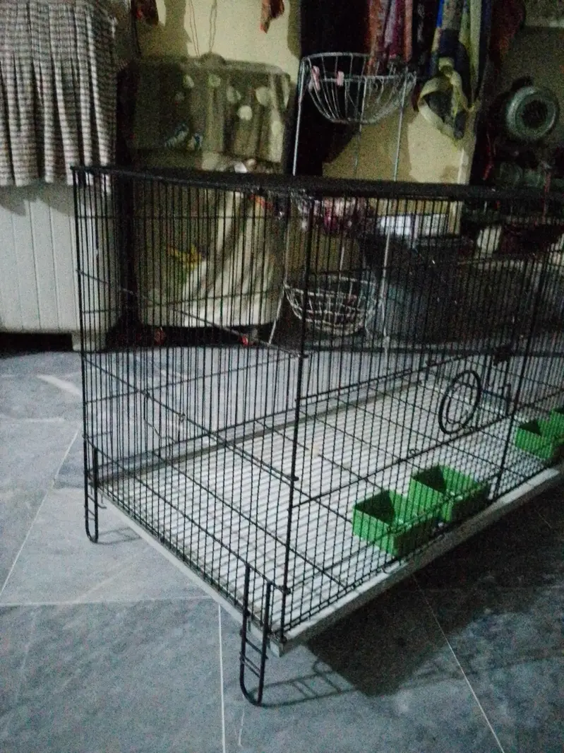 cages — photo 4