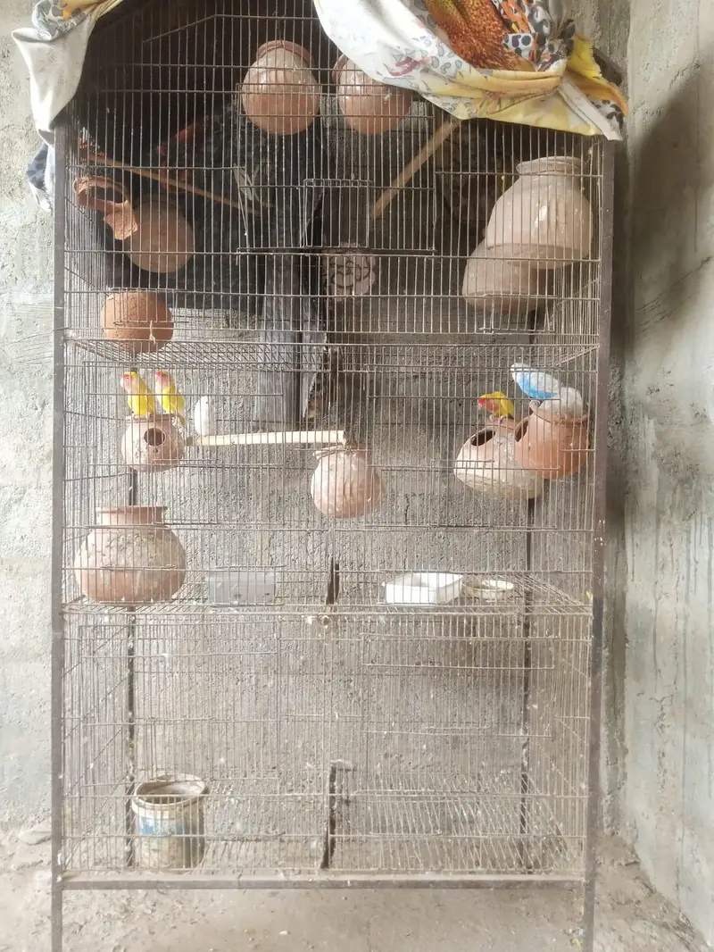 binjara for sell — photo 3