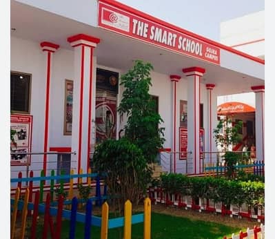 school teacher female /coordinater female /helper female