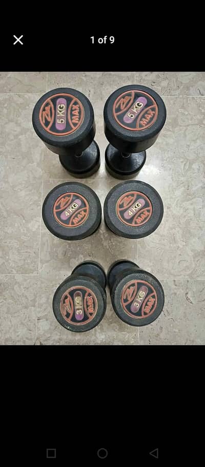 dumbbells  zeemax brand
