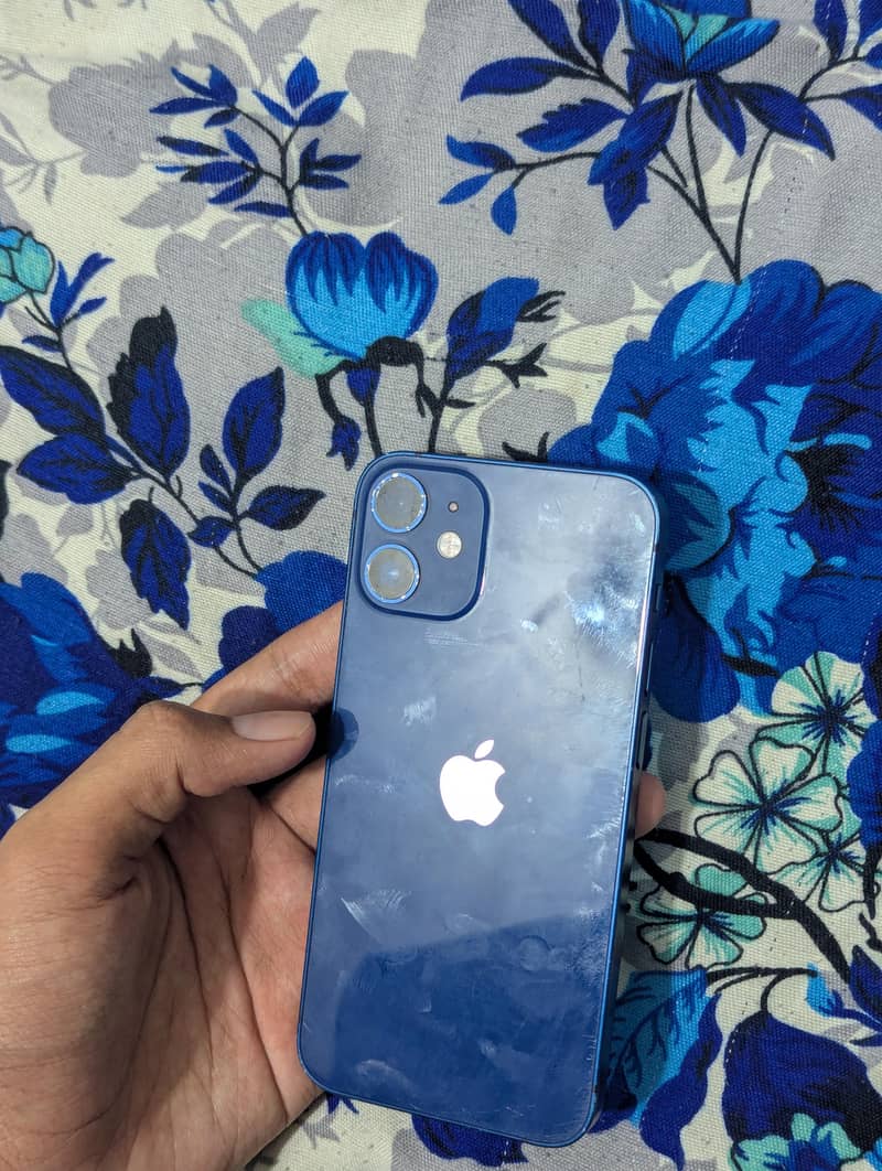 Apple iPhone 12 mini 1