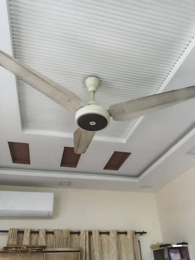 SK Fan