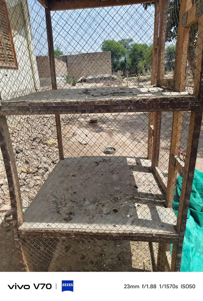 Hens Cage For Sale — photo 4