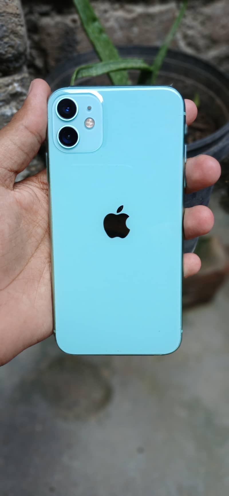 Apple iPhone 11 0