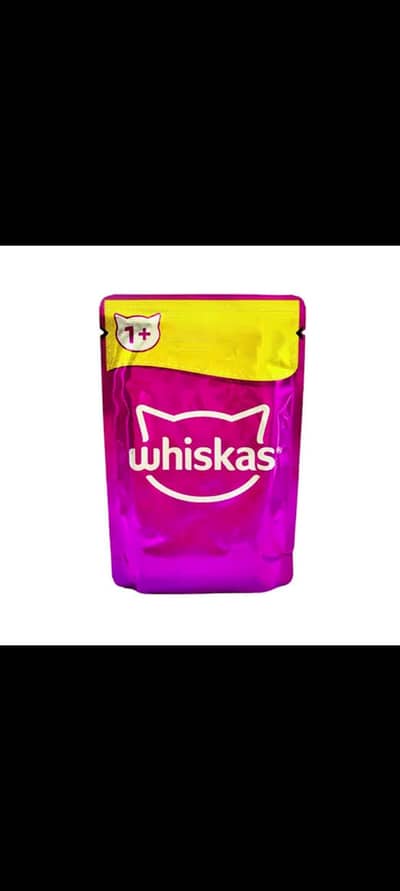 cat jelly food