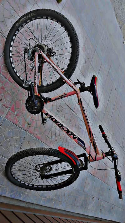 Morgan cycle