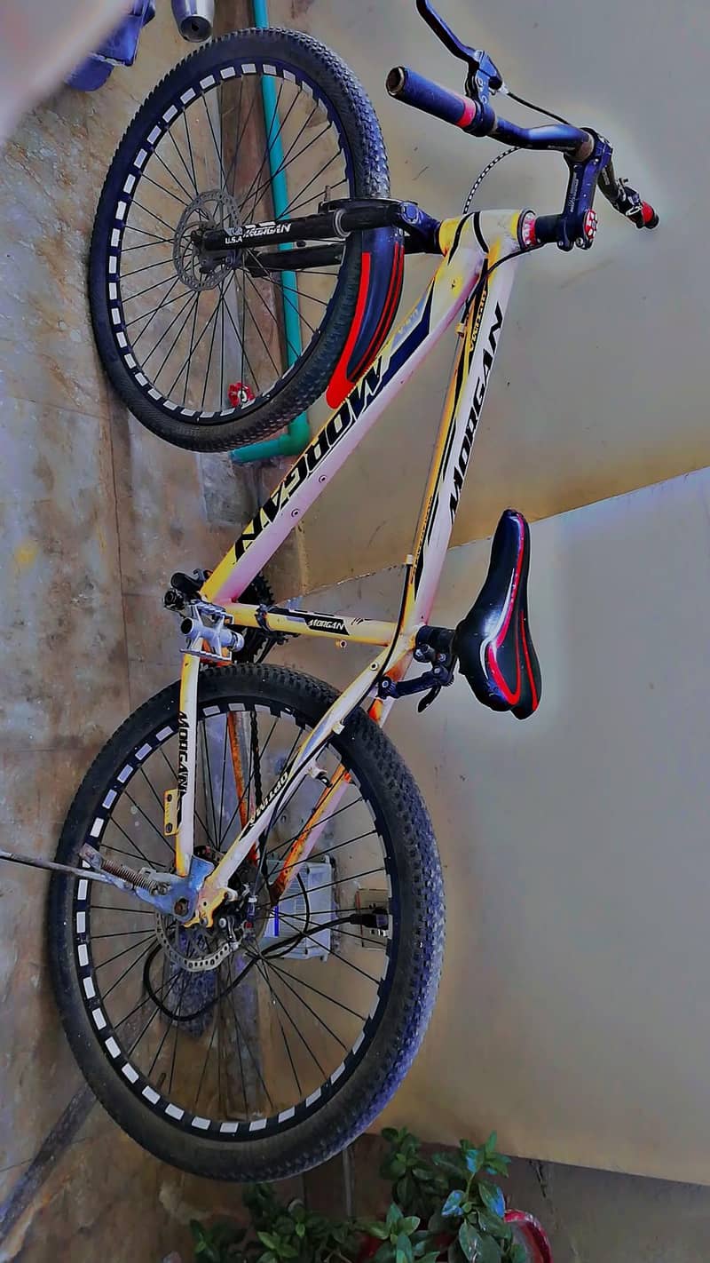 Morgan cycle 1