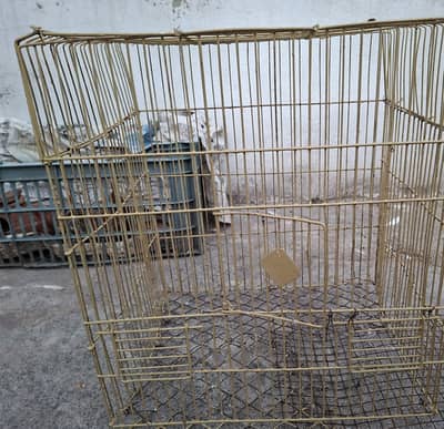 Australian Parrots with Cage