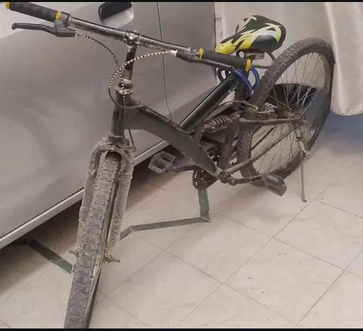 cycle 0