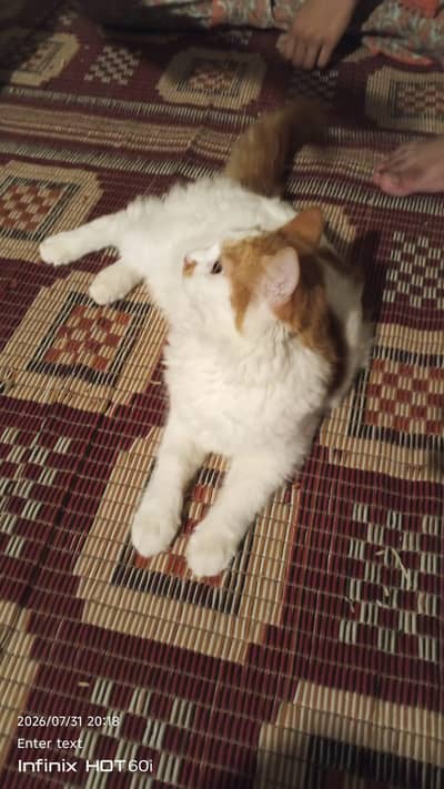 Bahut achi cat hai