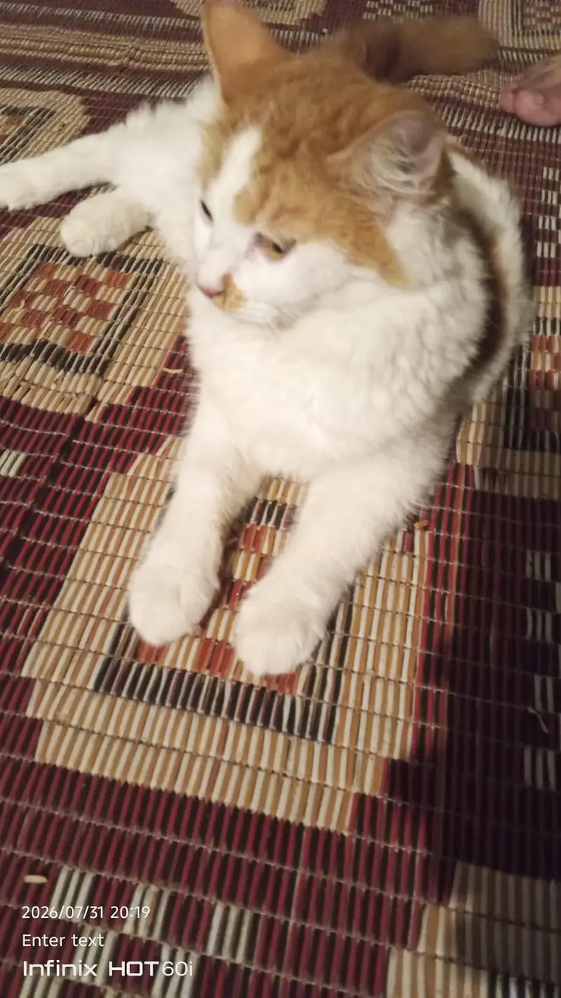 Bahut achi cat hai — photo 3