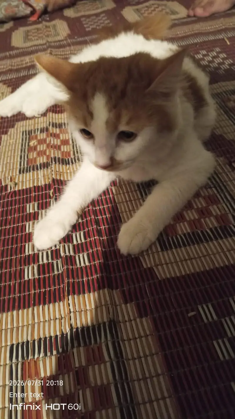 Bahut achi cat hai — photo 5