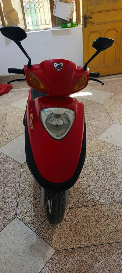 scoter