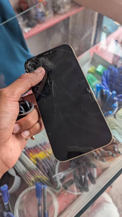 Apple iPhone 12 Pro Max