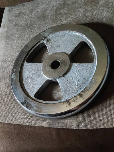 10 kg single weight plate