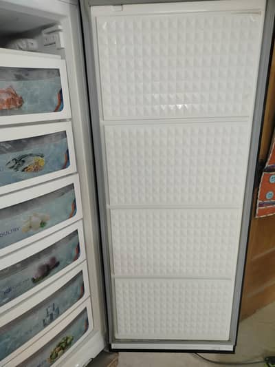 freezer v. v. condition