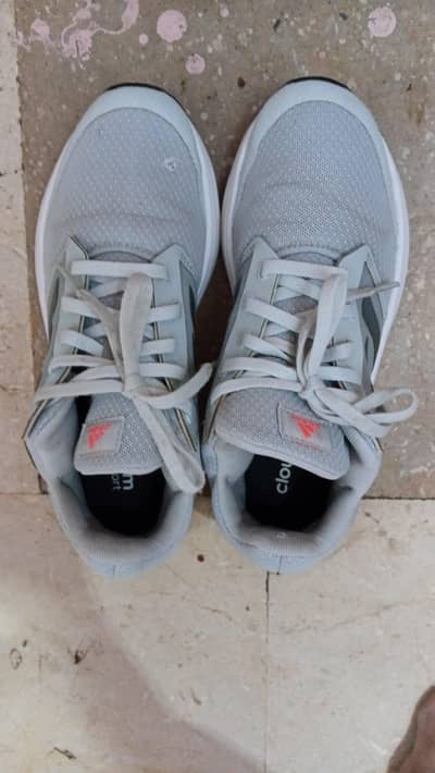 Adidas Galaxy 5 Light weight running shoes