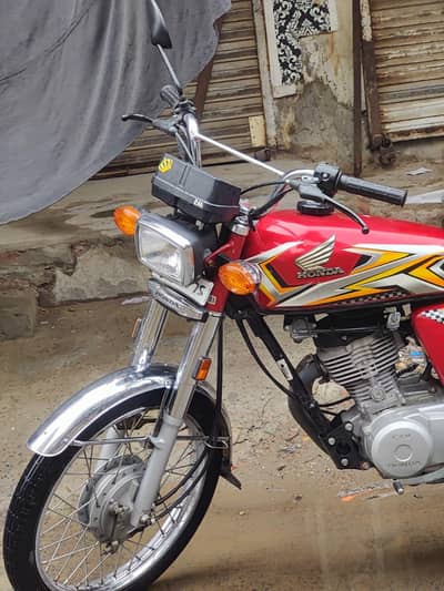 25 Model 125 in Full Lush Condition