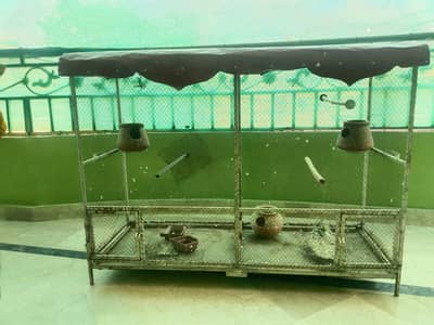 Cage for birds and Parrots