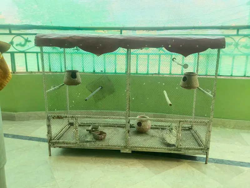 Cage for birds and Parrots — photo 2