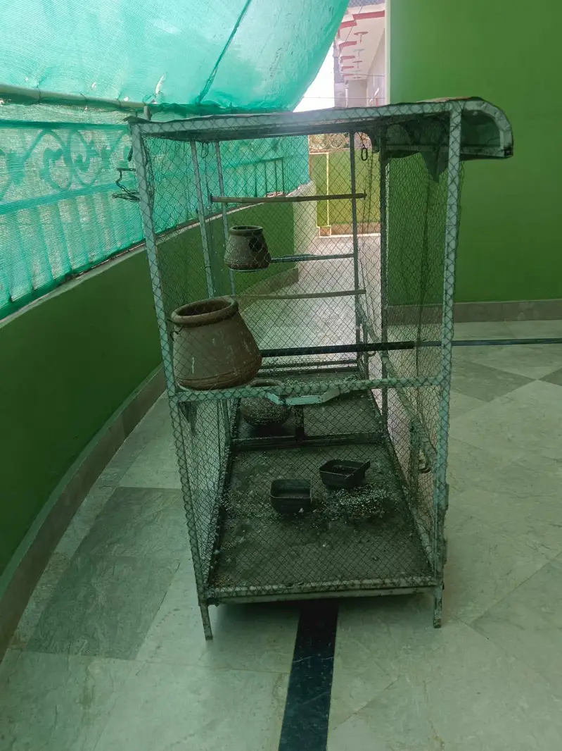 Cage for birds and Parrots — photo 3