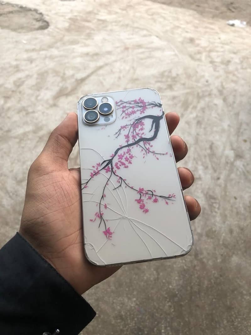 Apple iPhone 11 5