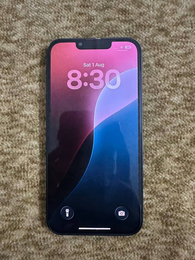 Apple iPhone 13 0