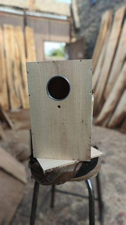 Box for ringneck(10x9x16),  in ( Mango Wood )