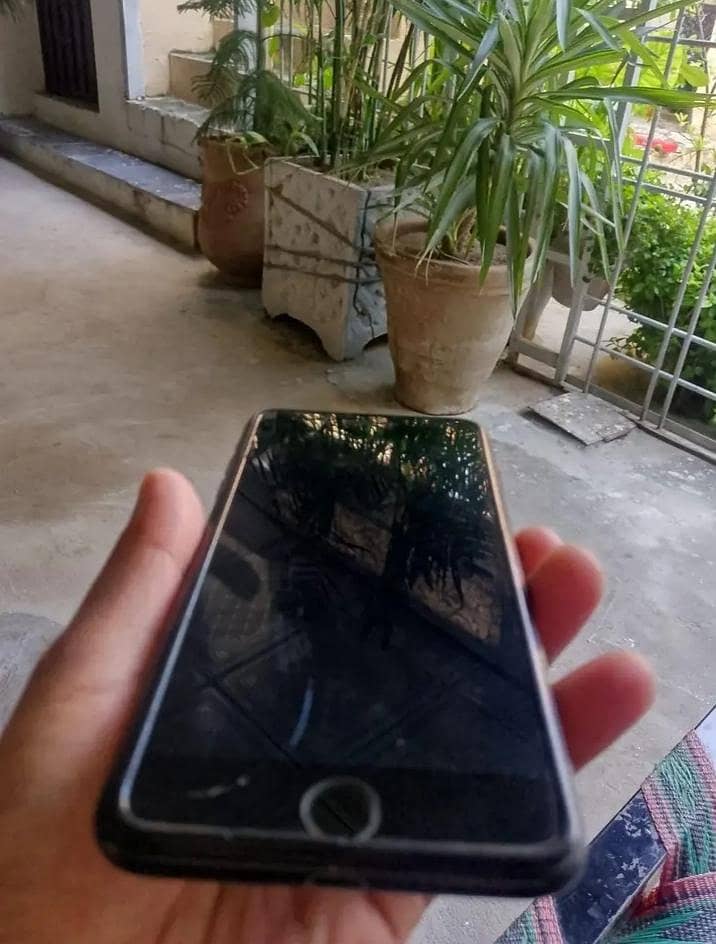 Apple iPhone 7 Plus 1