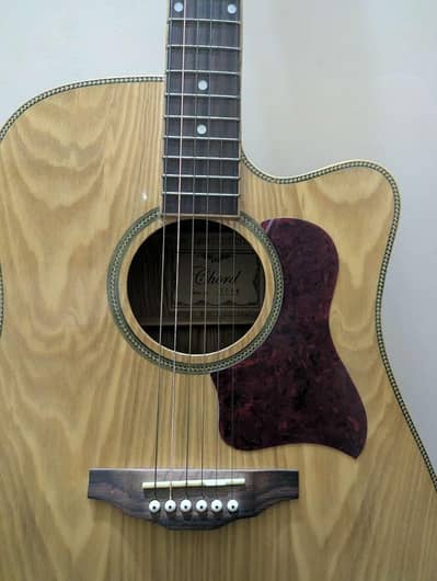 Chord company guitar with accessories