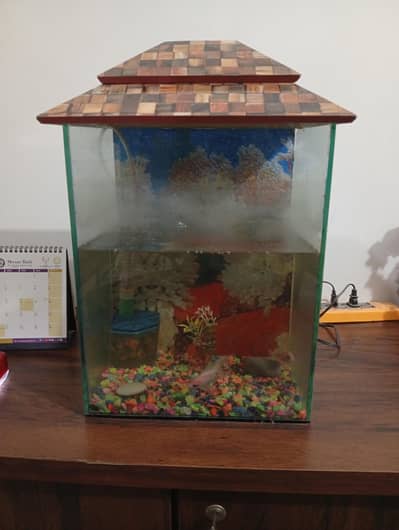 aquarium| 18 liter water capacity | No Leakage| 10/10