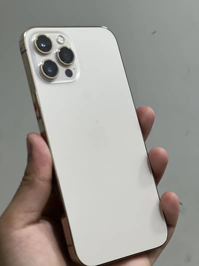 Apple iPhone 12 Pro Max
